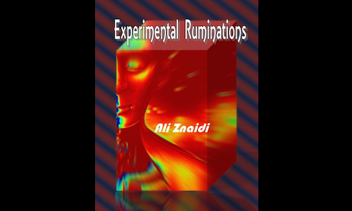 Cover of Experimental Ruminations by Ali Znaidi