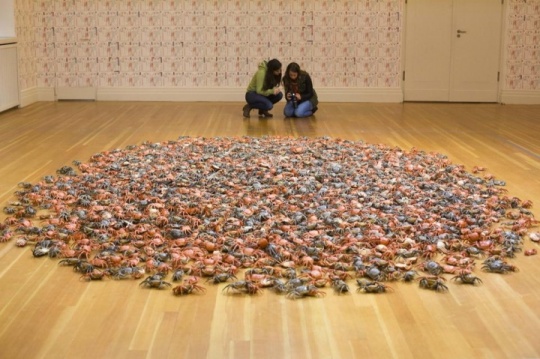 Ai Weiwei He Xie
