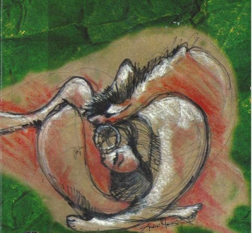 Image by Andrei Havos, from the cover of "Mujer Entre Perro y Lobo" by Lety Elvir.